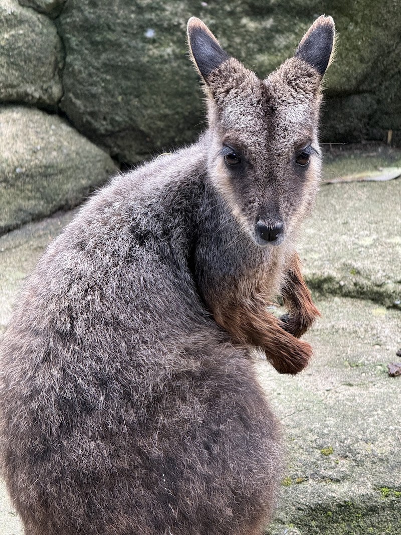 Photo 1 at Activity Tours Australia in Farmborough Heights