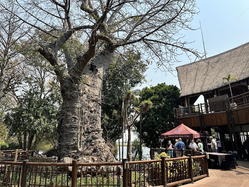 Photo 4 at Cresta Mowana Safari Resort and Spa in Kasane