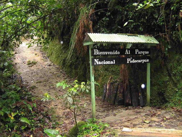 Photo 2 at Podocarpus National Park in 