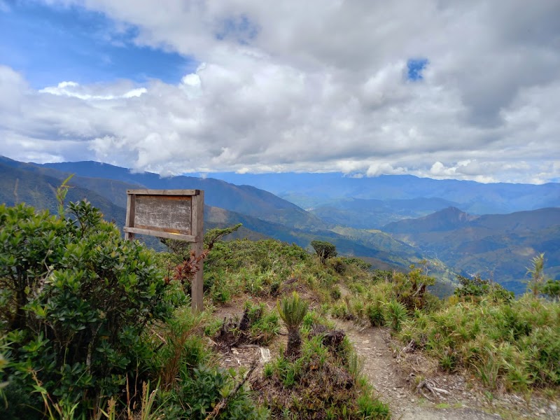 Photo 1 at Podocarpus National Park in 