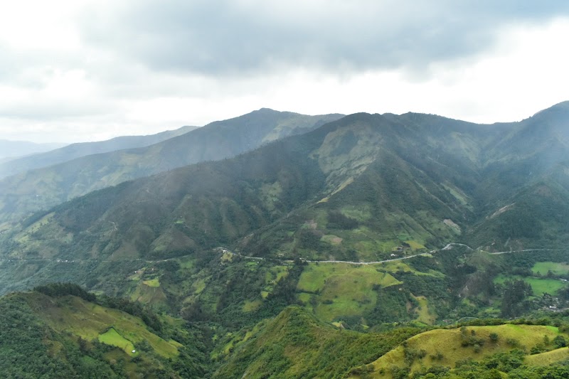 Podocarpus National Park in 