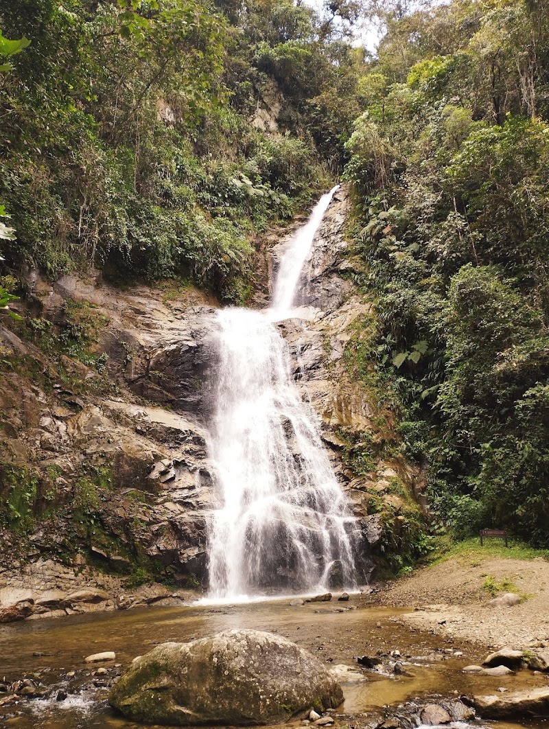 Photo 5 at Podocarpus National Park in 