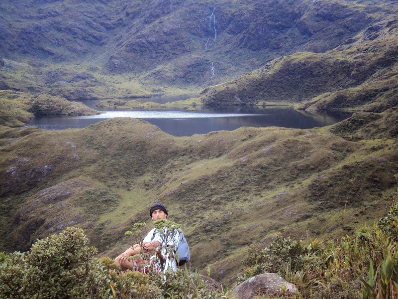 Photo 6 at Podocarpus National Park in 