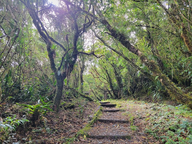 Photo 3 at Podocarpus National Park in 