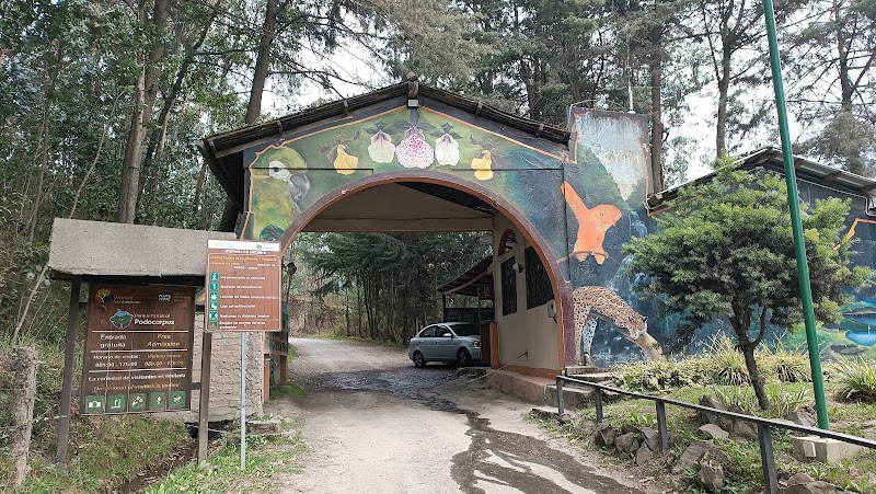 Photo 4 at Podocarpus National Park in 