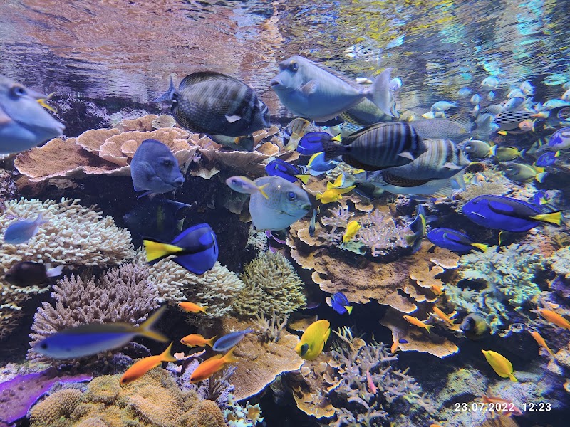Photo 1 at Den Blå Planet in Kastrup