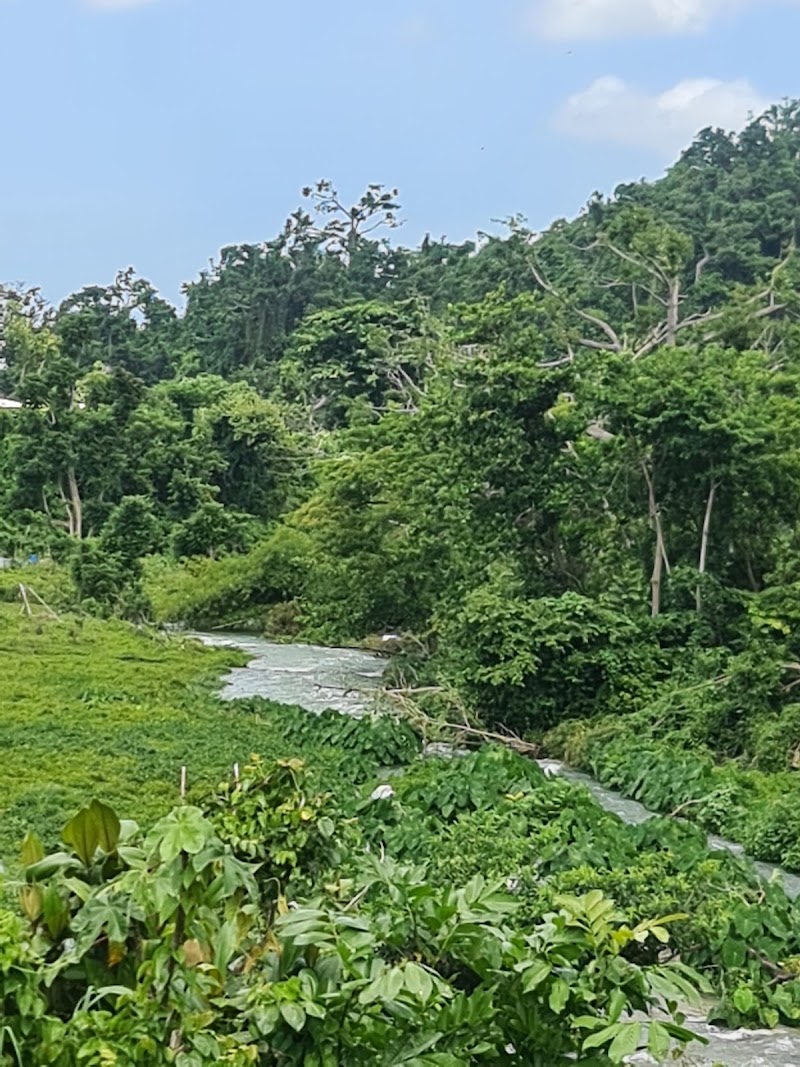 Photo 2 at RastaSafari Experience in Roaring River