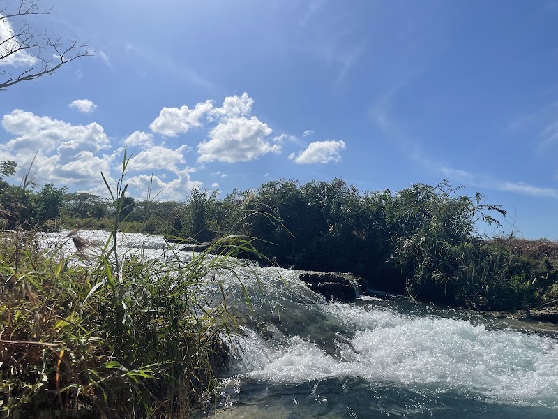 Photo 1 at RastaSafari Experience in Roaring River