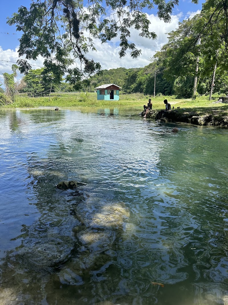 Photo 5 at RastaSafari Experience in Roaring River