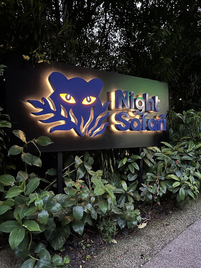 Photo 1 at Night Safari in Singapore
