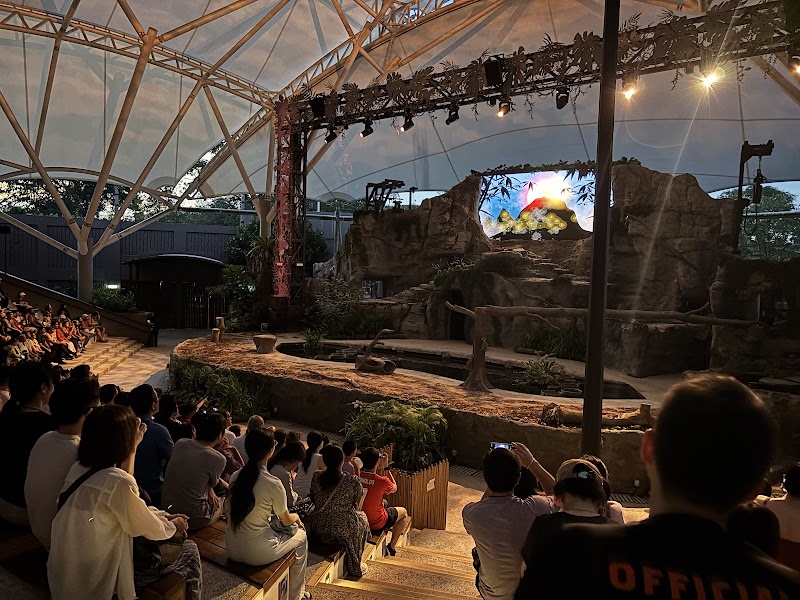 Photo 3 at Night Safari in Singapore