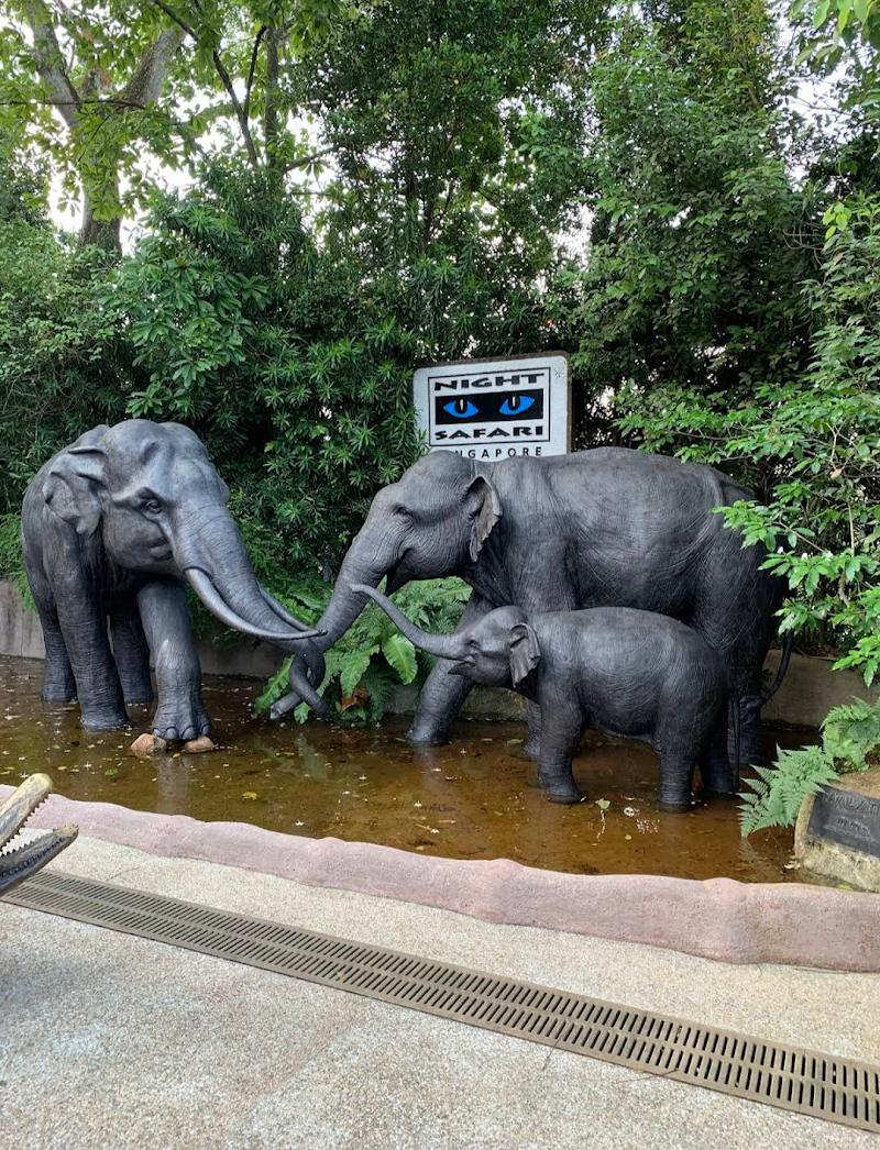Photo 2 at Night Safari in Singapore