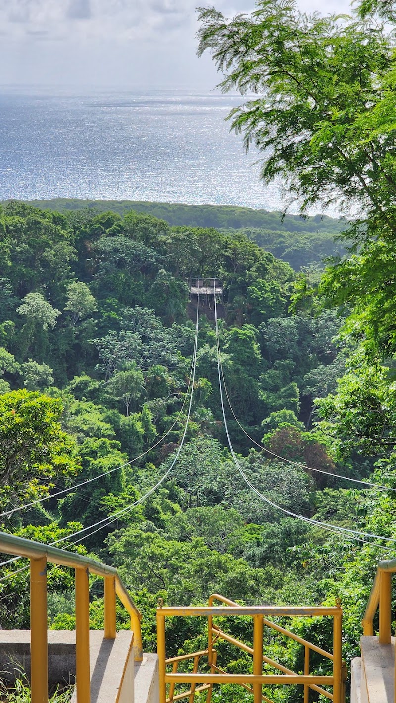 Photo 5 at South Shore Canopy Zipline in 