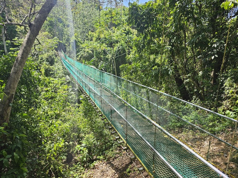 Photo 4 at South Shore Canopy Zipline in 