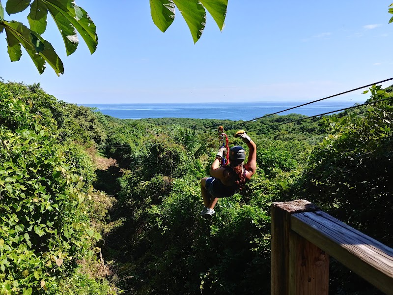 Photo 1 at South Shore Canopy Zipline in 