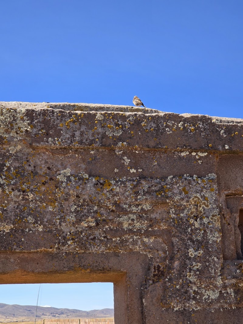 Photo 2 at Tiwanaku Archaeological Complex in Tiwanaku