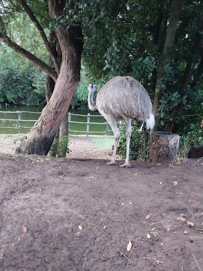 Photo 3 at Complejo Naturaleza Viva in Villa San Luis