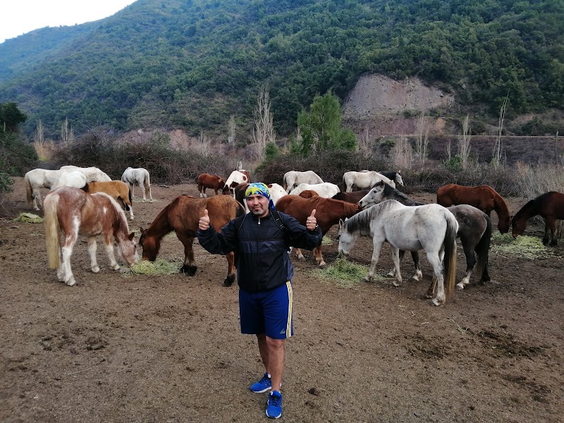 Photo 5 at Chilean Adventures in Los Quenes