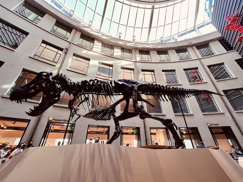 Photo 6 at Auckland Museum in Auckland