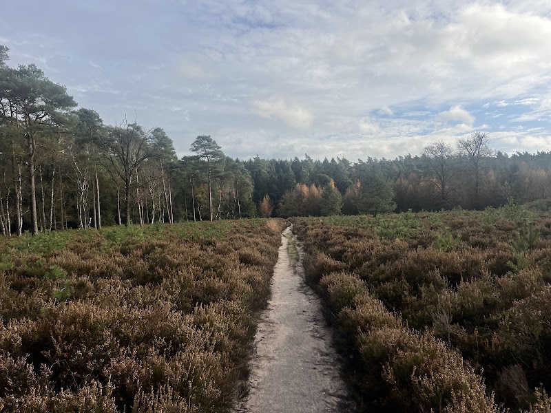Photo 5 at Landal Marber Veluwe in Hoenderloo