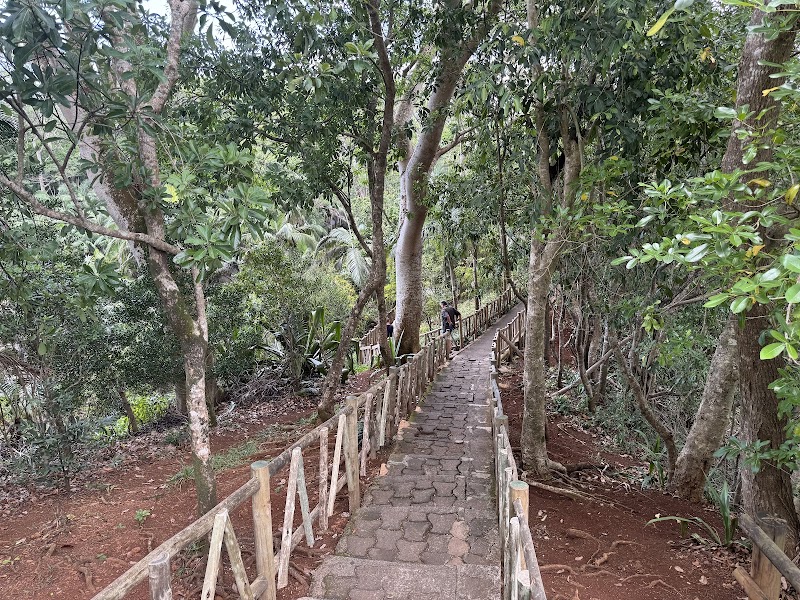 Photo 5 at Chamarel Waterfall Viewpoint in Chamarel