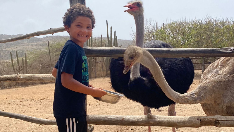 Aruba Ostrich Farm in Paradera