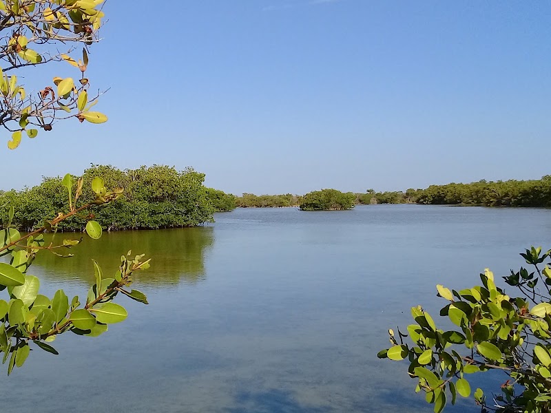 Photo 1 at Parque Nacional Ciénaga de Zapata in Colonia Pescadores de Langostas
