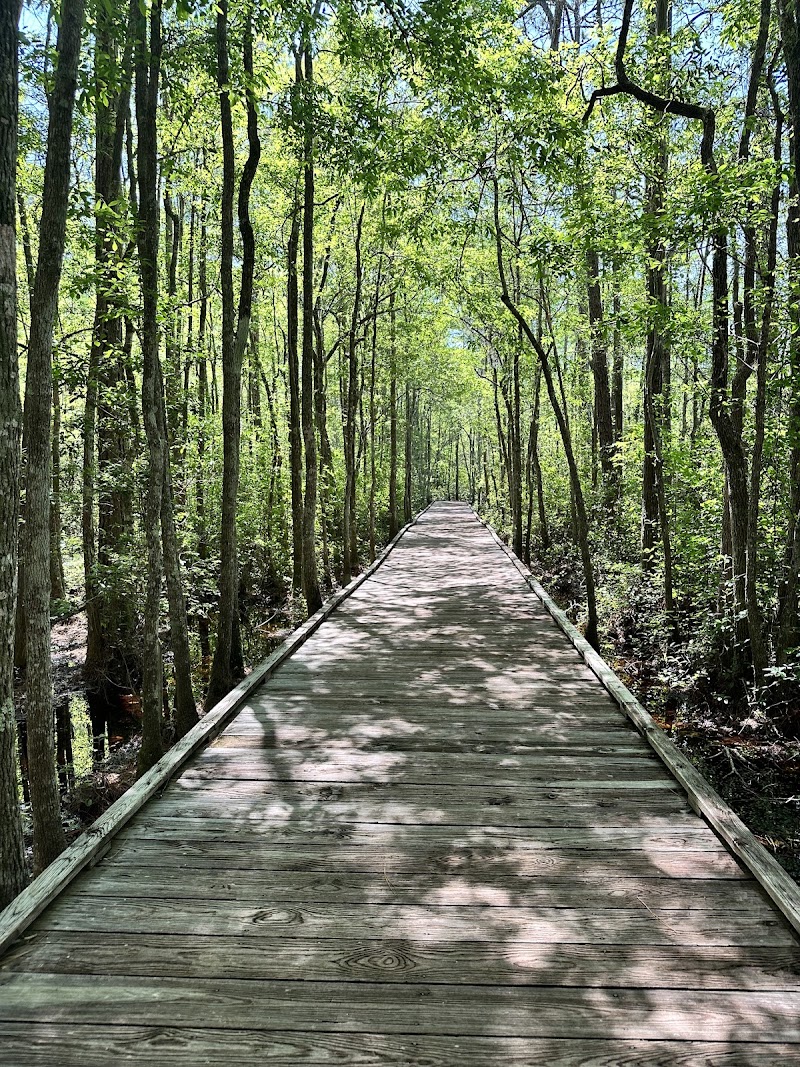 Photo 6 at Okefenokee Swamp Park in Waycross