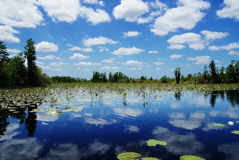 Photo 5 at Okefenokee Swamp Park in Waycross