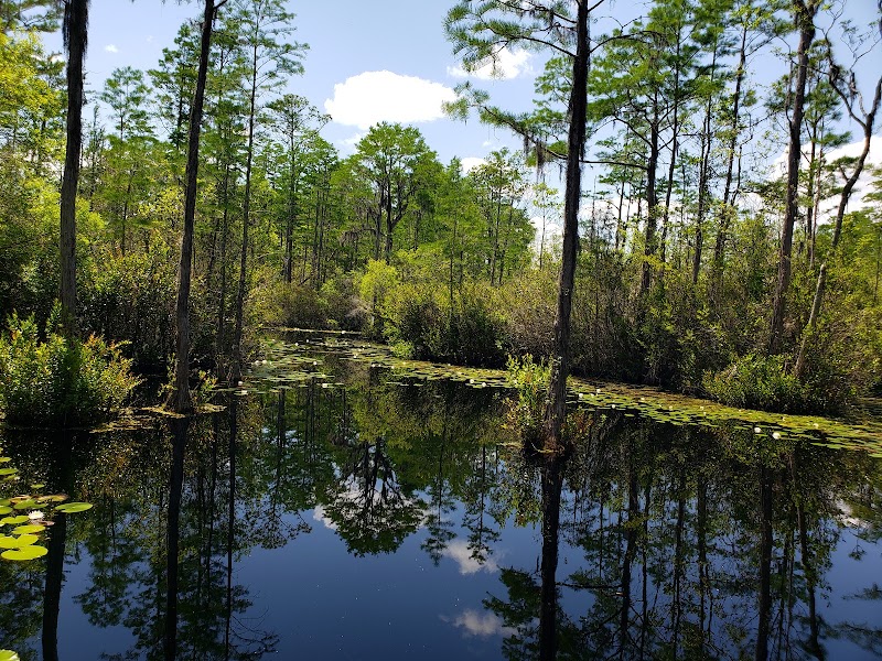 Photo 3 at Okefenokee Swamp Park in Waycross