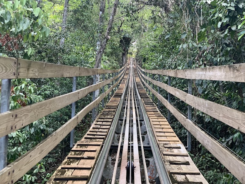 Photo 5 at Mystic Mountain in Ocho Rios