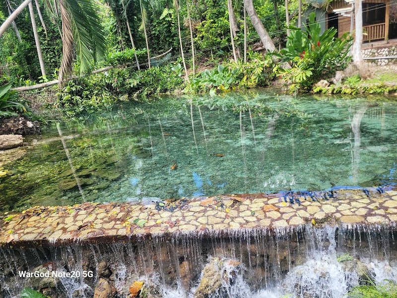 Photo 4 at Mystic Mountain in Ocho Rios