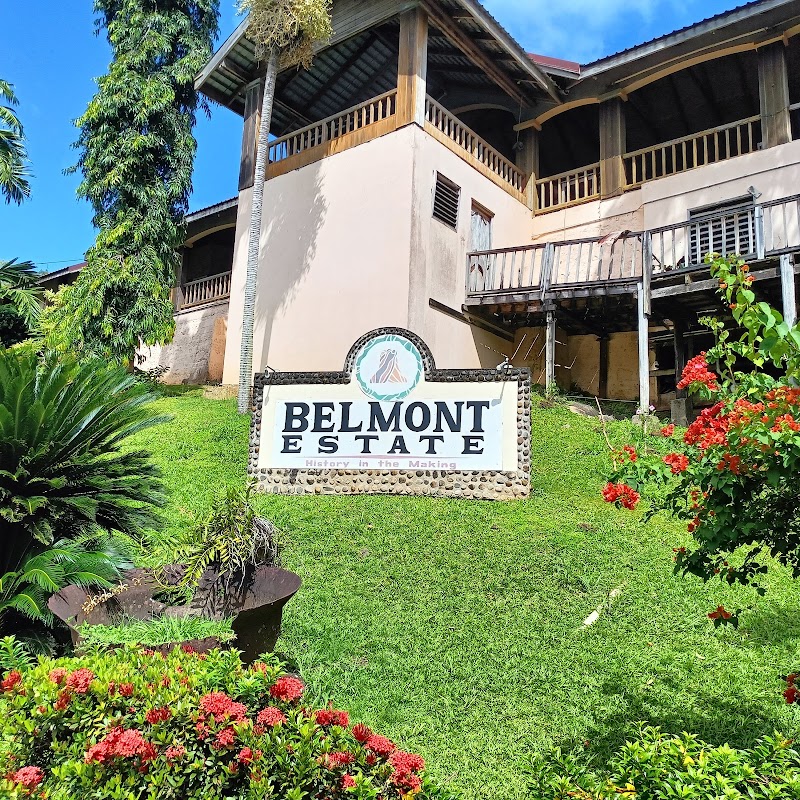 Photo 2 at Belmont Estate in St Patrick's