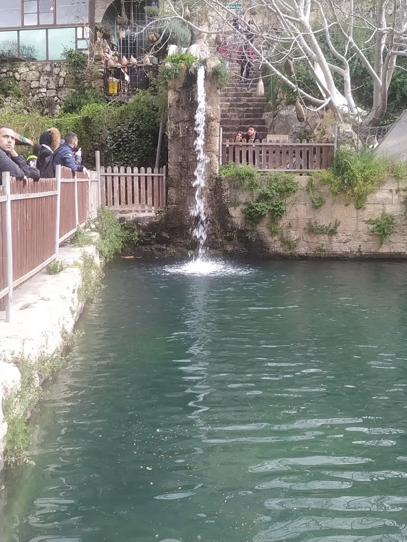 Photo 6 at Battir’s Terrace - UNESCO’s World Heritage Site in Bethlehem