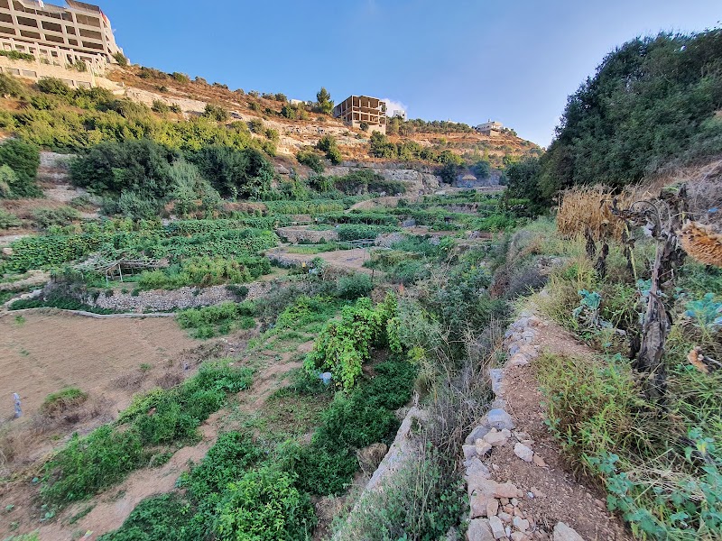 Photo 4 at Battir’s Terrace - UNESCO’s World Heritage Site in Bethlehem