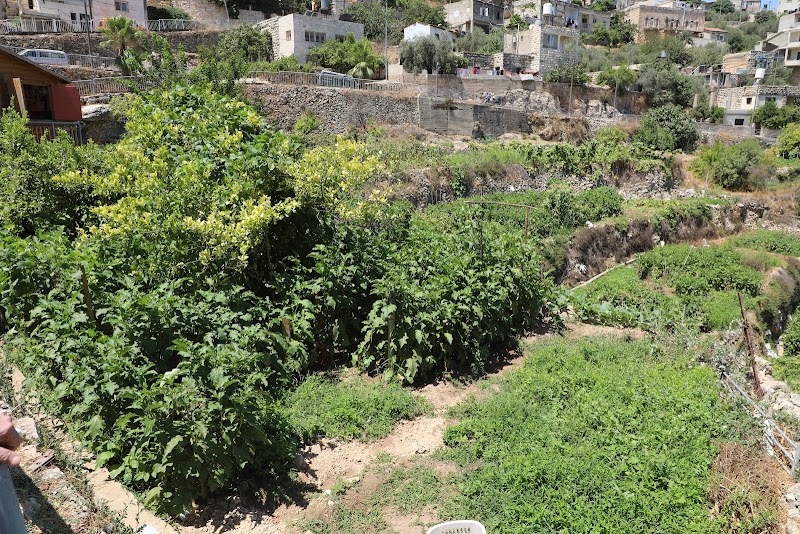 Photo 1 at Battir’s Terrace - UNESCO’s World Heritage Site in Bethlehem