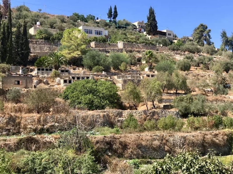 Battir’s Terrace - UNESCO’s World Heritage Site in Bethlehem