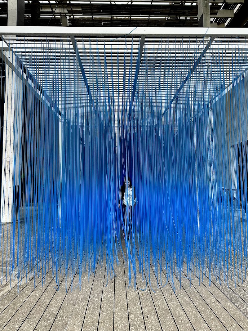 Photo 3 at Pérez Art Museum Miami in Miami