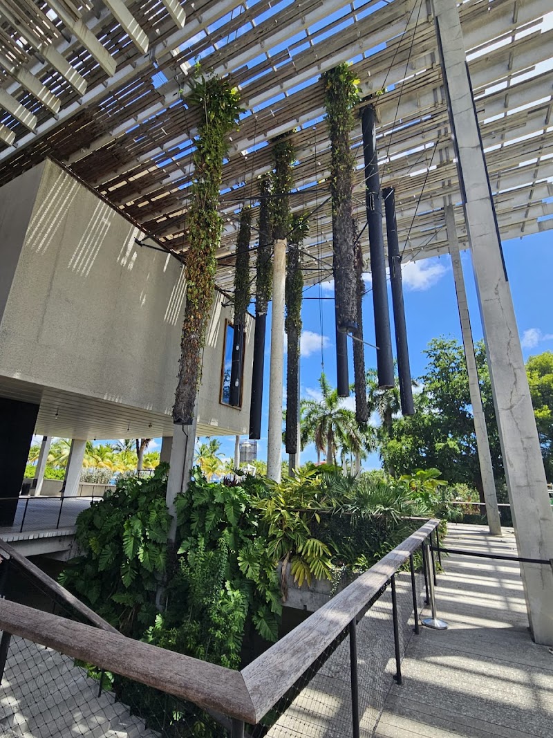 Photo 6 at Pérez Art Museum Miami in Miami