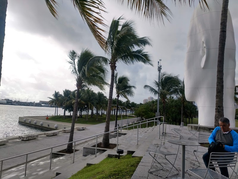 Photo 2 at Pérez Art Museum Miami in Miami