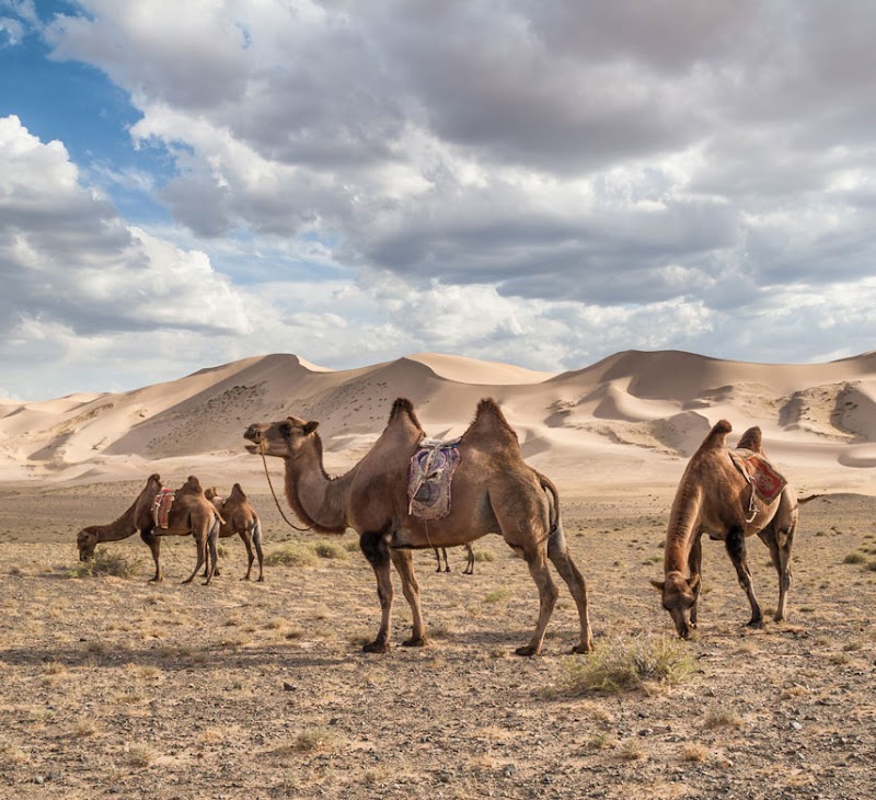 Photo 1 at Gobi Gurvan Saikhan National Park in 