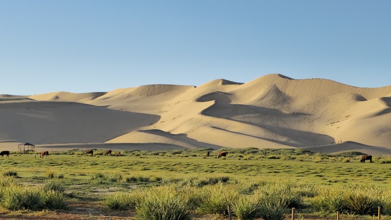 Gobi Gurvan Saikhan National Park in 