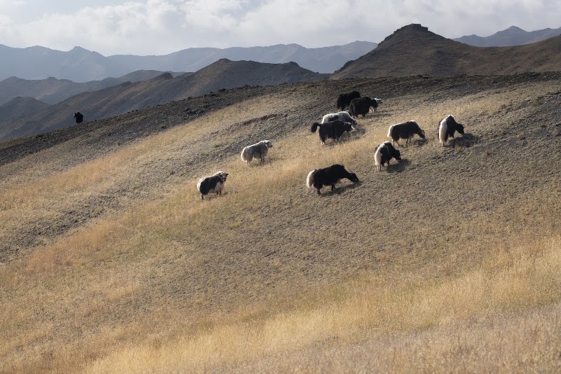 Photo 5 at Gobi Gurvan Saikhan National Park in 