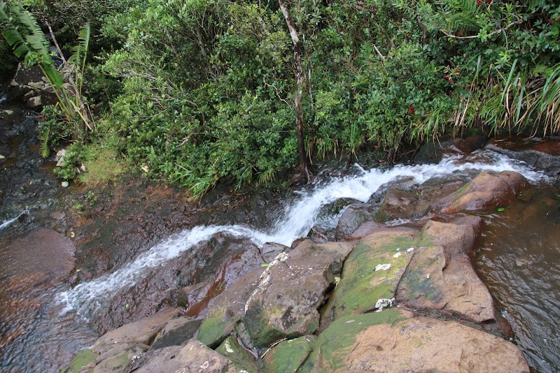 Alexandra Falls in 