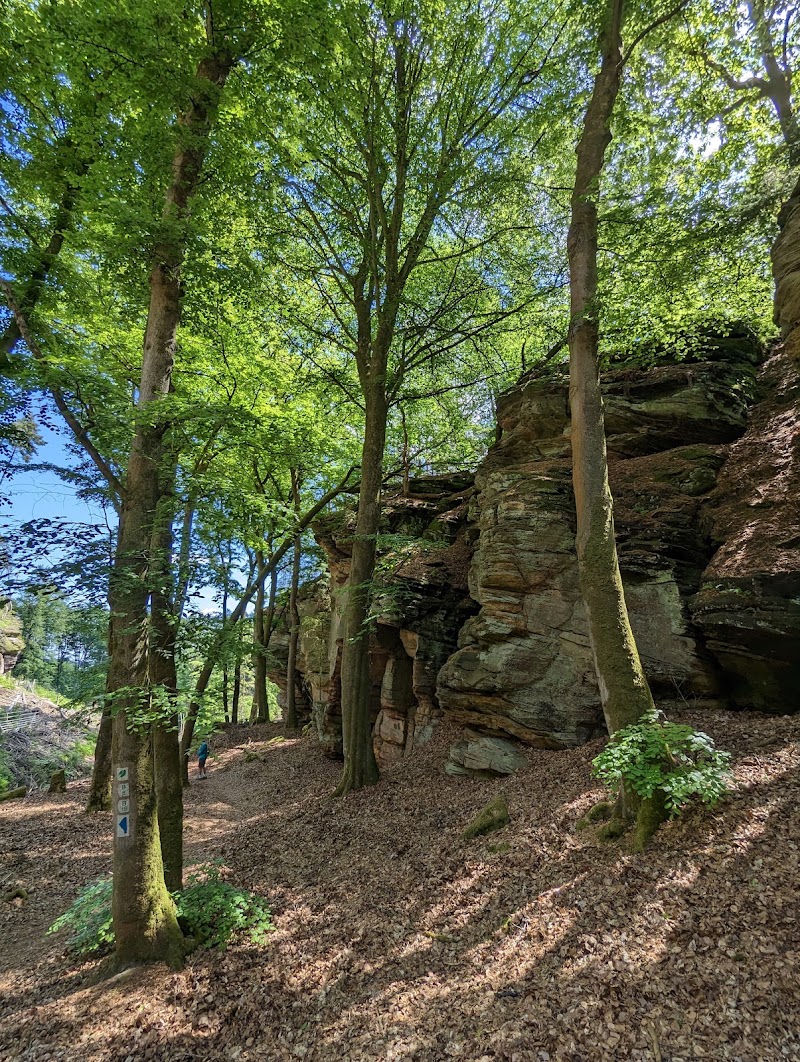 Photo 3 at Mullerthal Trail in Echternach
