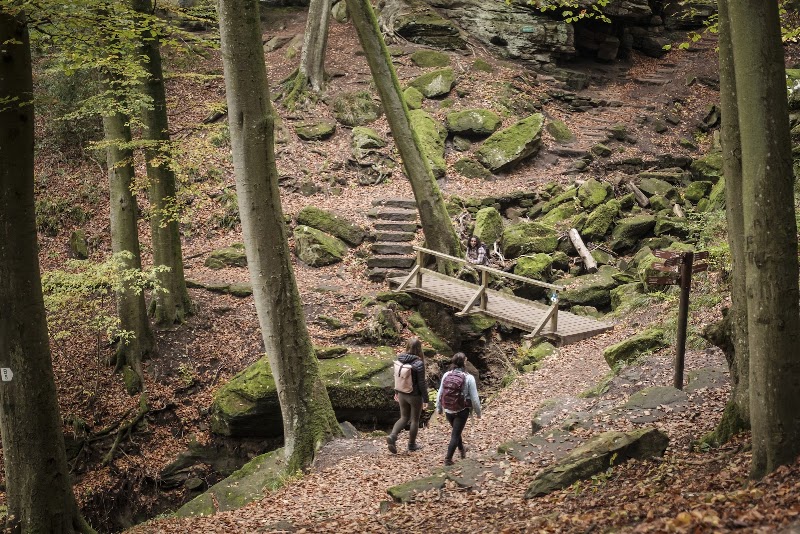 Mullerthal Trail in Echternach