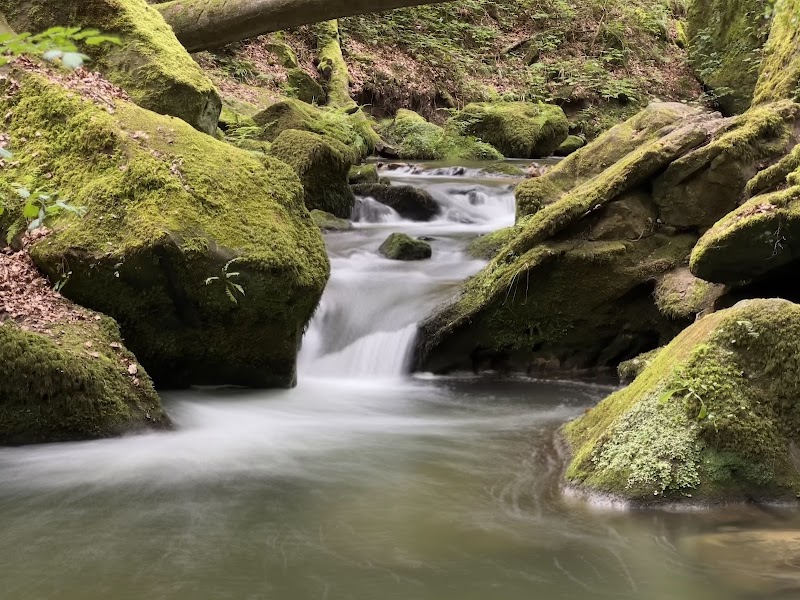 Photo 4 at Mullerthal Trail in Echternach
