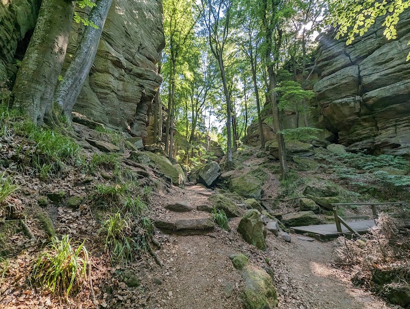 Photo 6 at Mullerthal Trail in Echternach