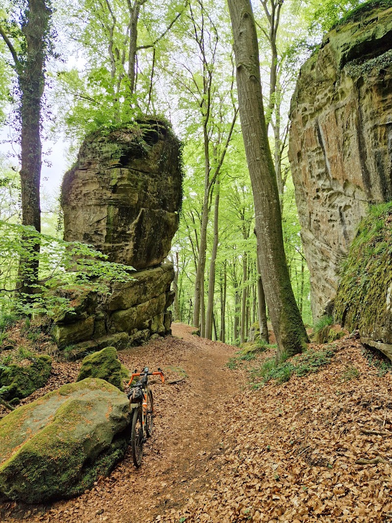Photo 1 at Mullerthal Trail in Echternach