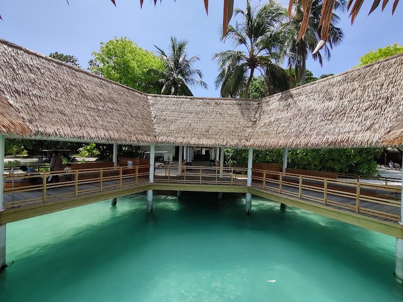 Photo 6 at Bandos Maldives in 